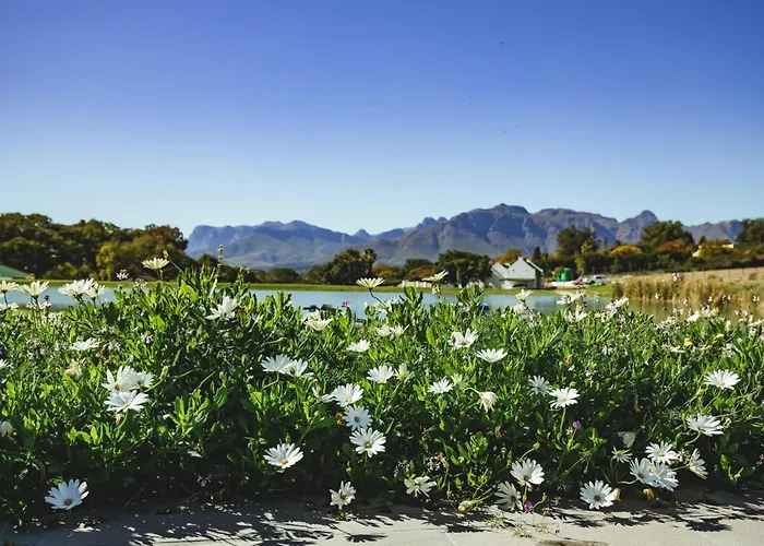 Stellenbosch Guest Houses